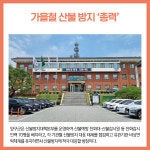 [카드뉴스] 강원 양구군 주요뉴스 (10월 31일)