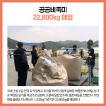 [카드뉴스] 강원 동해시 주요뉴스 (11월 3일)