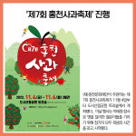 [카드뉴스] 강원 홍천군 주요뉴스 (11월 4일)