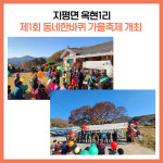 [카드뉴스] 경기 양평군 주요뉴스 (11월 8일)