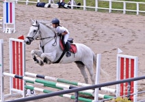 [대회] 영천대마기 전국종합마술대회(제9회)...11일부터 3일간