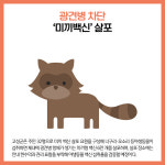 [카드뉴스] 강원 고성군 주요뉴스 (11월 9일)