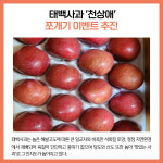 [카드뉴스] 강원 태백시 주요뉴스 (11월 10일)