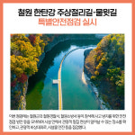 [카드뉴스] 강원 철원군 주요뉴스 (11월 11일)