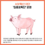 [카드뉴스] 강원 동해시 주요뉴스 (11월 14일)