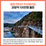 [카드뉴스] 강원 철원군 주요뉴스 (11월 14일)