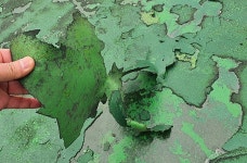 [현장고발] 영천공설시장 상인들, 주차장 부실 방수로 바닥 흉물, 낮에도 차량 전조등 켜고 다녀야 불만