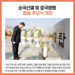 [카드뉴스] 경기 광주시 주요뉴스 (11월 18일)