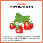 [카드뉴스] 강원 원주시 주요뉴스 (11월 25일)