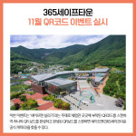 [카드뉴스] 강원 태백시 주요뉴스 (11월 29일)