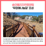 [카드뉴스] 강원 양양군 주요뉴스 (12월 6일)
