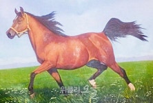 영천시농업기술센터에서 사라진 말(馬) 그림을 찾습니다