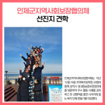 [카드뉴스] 인제군 주요뉴스 (12월 19일)