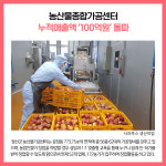[카드뉴스] 정선군 주요뉴스 (12월 22일)