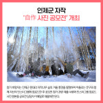 [카드뉴스] 인제군 주요뉴스 (12월 26일)