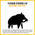 [카드뉴스] 원주시 주요뉴스 (1월 11일)