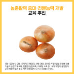 [카드뉴스] 인제군 주요뉴스 (1월 16일)