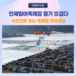 인제빙어축제장 뜨거운 열기··한파야 물렀거라!