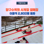 양구수목원 사계절 썰매장 즐길거리 가득