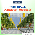 법인홍천협업팜 | 신영재 홍천군수, 스마트팜 딸기 품평회 참석