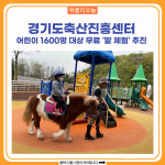 [카드뉴스] 경기도축산진흥센터, 어린이 1600명 무료 말 체험 추진
