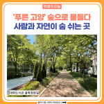 푸른 고양 숲으로 물들다…사람과 자연이 숨 쉬는 곳