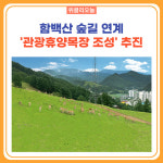 태백시, 함백산 숲길 연계 관광휴양목장 조성 추진