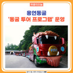 태백시, 용연동굴 동굴 투어 프로그램 운영