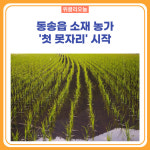 철원군, 동송읍 소재 농가 첫 못자리 시작