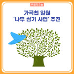 원주시, 가곡천 일원 나무 심기 사업 추진