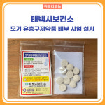 태백시보건소, 모기 유충구제약품 배부 사업 실시