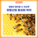 영월군, 양봉산업 활성화 박차