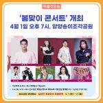 양양문화재단 벚꽃과 함께하는 봄맞이 콘서트 개최
