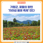 가평군,  꽃들의 향연 자라섬 봄꽃 축제 연다...5월 20일부터