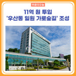 원주시, 11억 원 투입 우산동 일원 가로숲길 조성