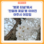 벚꽃 터널에서 진달래 꽃길로 이어진 여주시 여강길