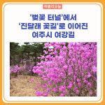 벚꽃 터널에서 진달래 꽃길로 이어진 여주시 여강길