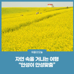 자연 속을 거니는 여행, 안성이 안성맞춤