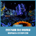 정선군, 천연기념물 정선 화암동굴 종합학술조사 연구용역 진행