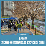 양평군, 제2회 용문힐링로드 걷기대회 개최
