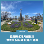 속초시, 청초호 유원지 지키기 행사