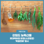 강원도 농특산물, 롯데백화점 본점(소공동점) 특별판매 행사