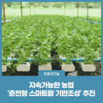 춘천시, 지속가능한 농업 춘천형 스마트팜 기반조성 추진