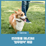 강릉시, 반려동물 재난대비 업무협약 체결