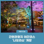 원주시, 간현관광지 야간코스 나오라쇼 5월 5일 개장