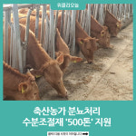 양양군, 축산농가 분뇨처리 톱밥 500톤 지원