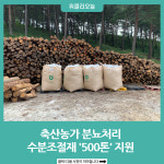 양양군, 축산농가 분뇨처리 톱밥 500톤 지원