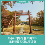 파주시티투어 봄 기획코스, 조선왕릉 깊이보기운영
