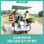 강수현 양주시장, 남면 드문모 심기 시연 참석