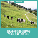 평창군 대관령 삼양목장, 가정의 달 페스티벌 개최